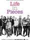 Life in Pieces