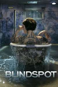 Blindspot - Posters
