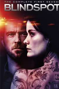 Blindspot - Posters