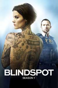 Blindspot - Posters
