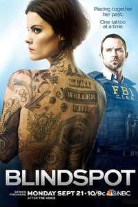 Blindspot - Posters