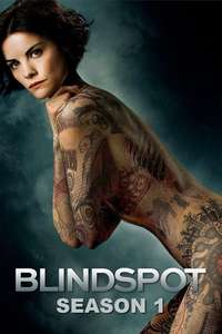 Blindspot - Posters