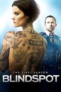 Blindspot - Posters
