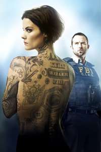 Blindspot - Posters