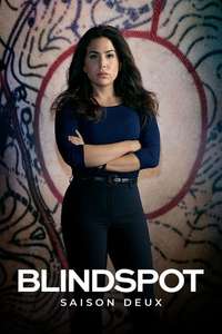Blindspot - Posters
