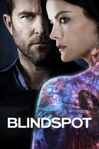 Blindspot - Posters