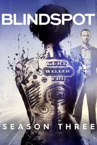 Blindspot - Posters