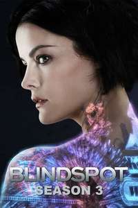 Blindspot - Posters