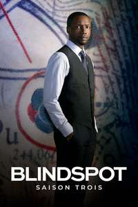Blindspot - Posters
