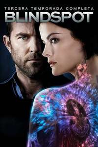 Blindspot - Posters