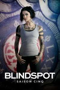 Blindspot - Posters