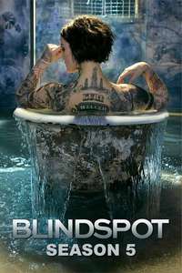 Blindspot - Posters