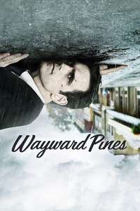 Wayward Pines - Posters