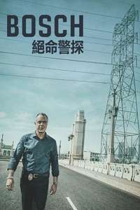 Bosch - Posters