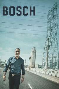 Bosch - Posters