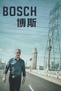 Bosch - Posters
