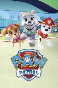 Paw Patrol - Posters