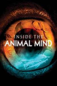 Inside the Animal Mind - Poster