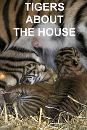 Tigers About the House