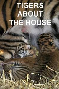 Tigers About the House - Poster