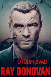 Ray Donovan - Posters