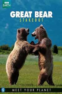 Great Bear Stakeout - Posters
