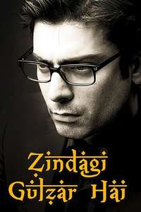 Zindagi Gulzar Hai - Poster