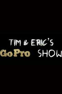 Tim and Eric's Go Pro Show - Poster