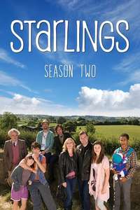 Starlings - Poster