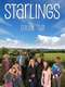 Starlings