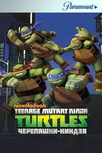 Teenage Mutant Ninja Turtles - Posters