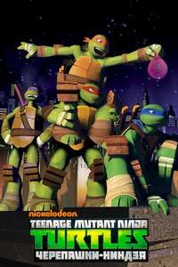 Teenage Mutant Ninja Turtles - Posters