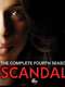Scandal : Season 4
