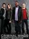 Criminal Minds: Suspect Behavior