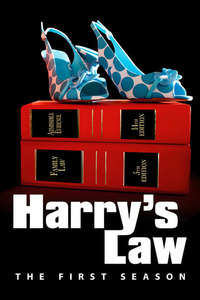 Harry's Law - Posters