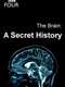 The Brain: A Secret History