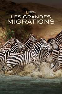 Great Migrations - Poster