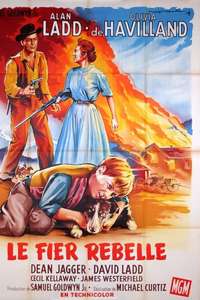 The Proud Rebel - Poster