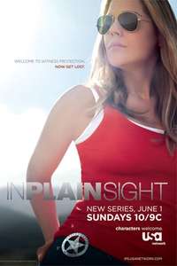 In Plain Sight - Poster