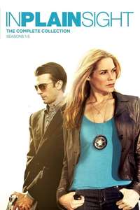 In Plain Sight - Poster