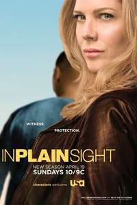 In Plain Sight - Poster