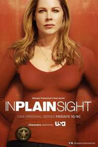In Plain Sight - Poster