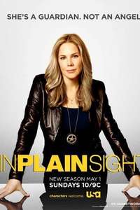 In Plain Sight - Poster