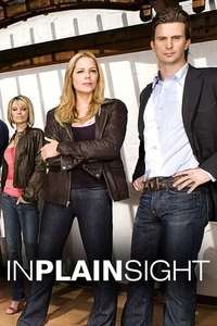 In Plain Sight - Poster