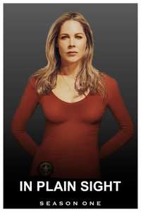 In Plain Sight - Poster