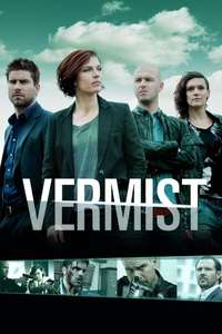 Vermist - Posters