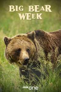 Big Bear Week - Poster