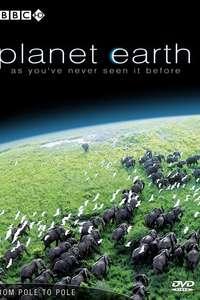 Planet Earth - Posters