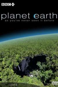 Planet Earth - Posters