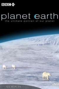 Planet Earth - Posters
